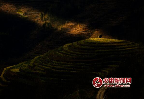 ����������һ�������߽����߹�����