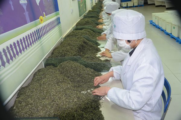 �����������׽��ֹ��Ʋ輼�����ִ�����������