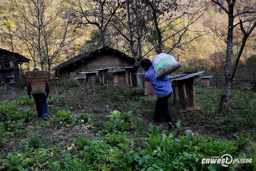 �������ش��ɽ����ԭ��̬���� ������ɶ���Բ�