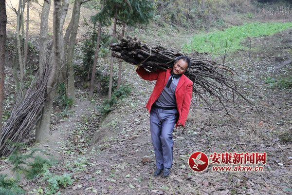 ����ģ�������� ���������Ҹ�������