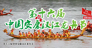 ��ʮ���찲���������۽�