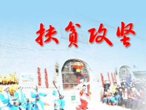 ��ƶ����