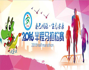 2016�갲�����������