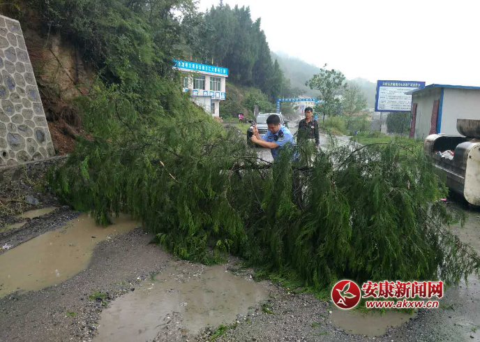 ������������·��ͨ������ �������ֳ���·�ϡ�