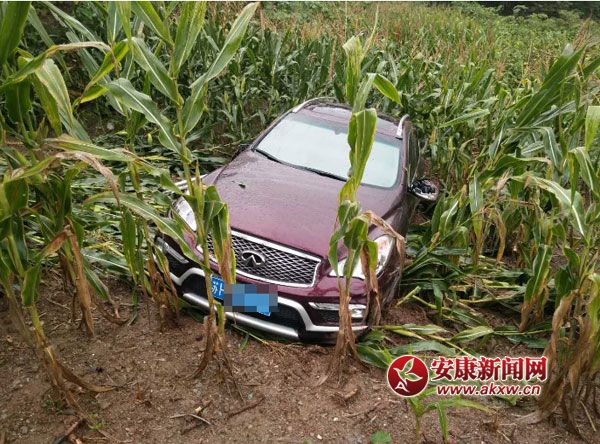 ��������������ԽҰ������ �񾯽�������