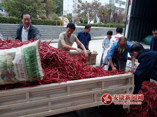 ϲ����������ġ���족