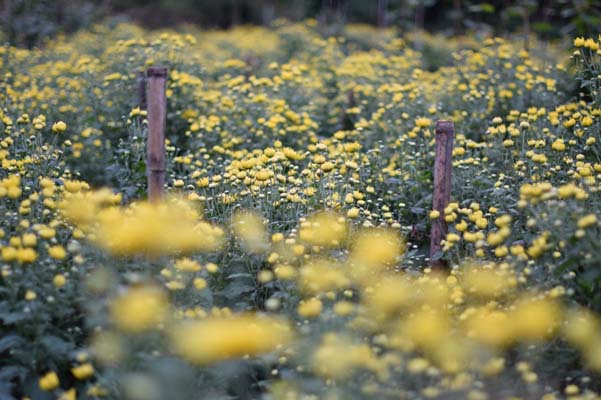 ����ʮ�� ʯȪ��Ķ��˿�ʾ�����