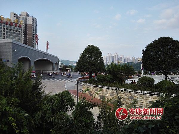 ��̬����