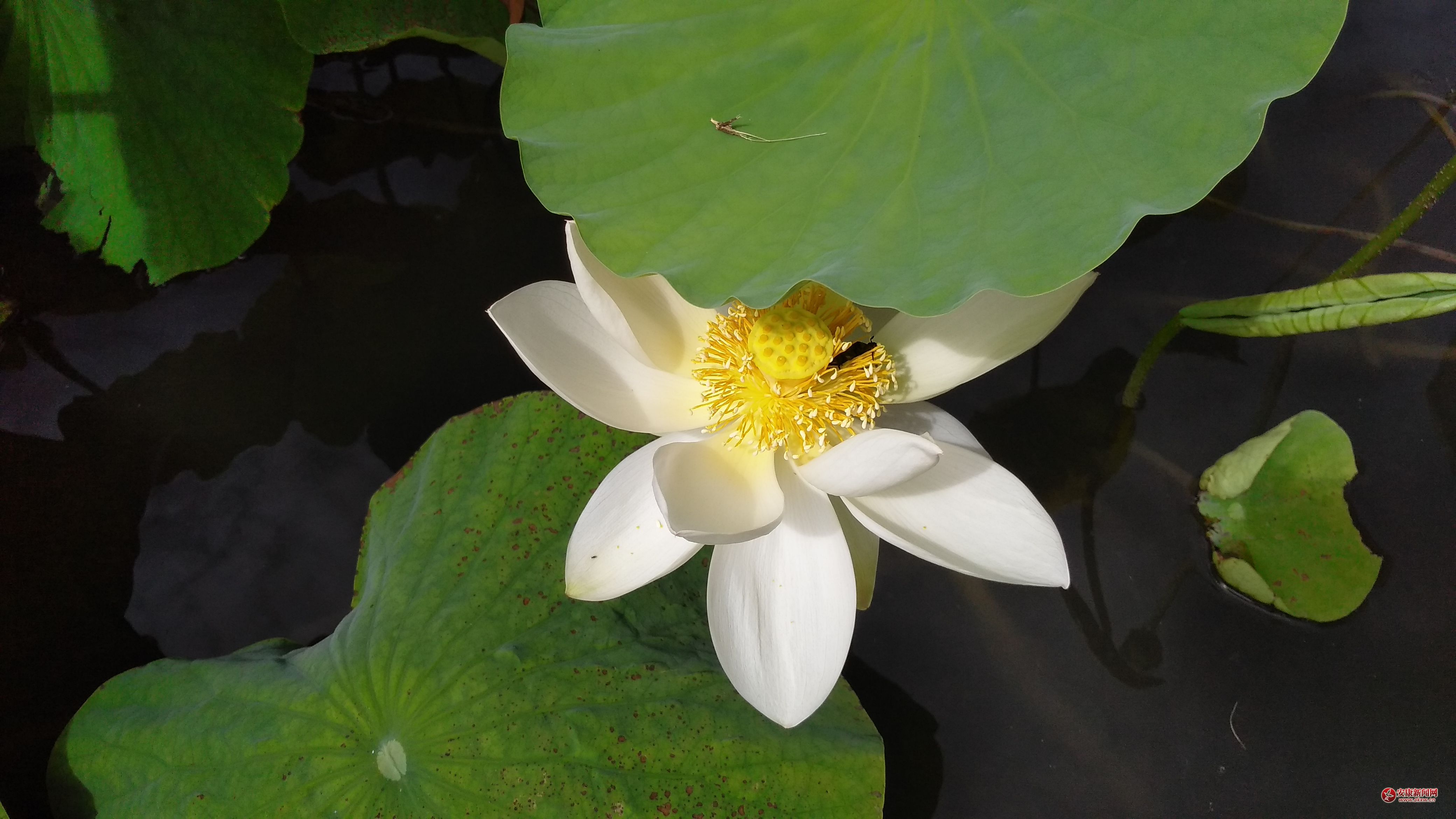 Ŀ֮��������䡪��ʯȪʮ��