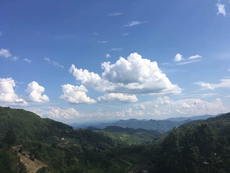 ����������ǵ����ĺ�,΢��������