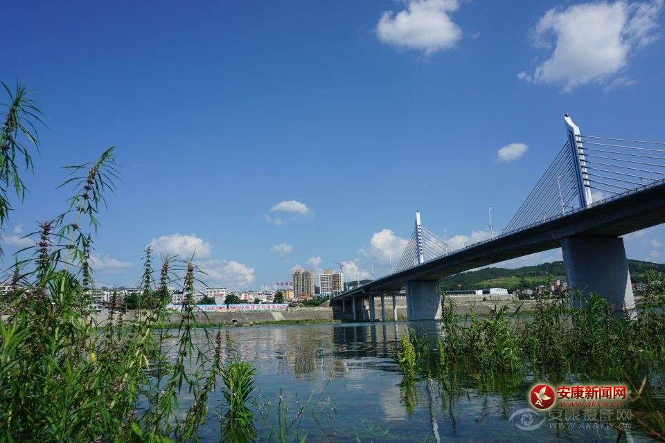 ������Ӱ