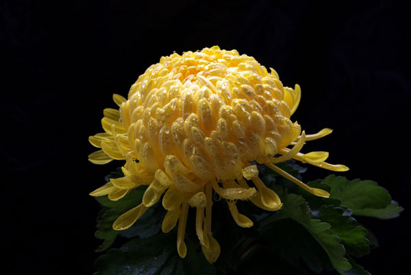 ����һ��ջ��� ��ȶ��˰�����