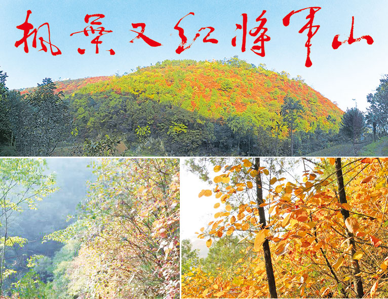 ��Ҷ�ֺ콫��ɽ