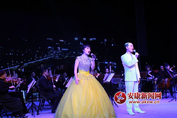 2017���������ֻ�