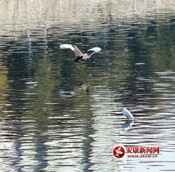 �����˹������˺����