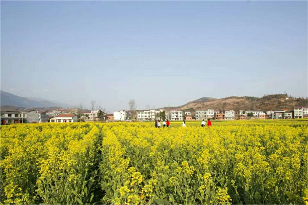 �����Ĵ�