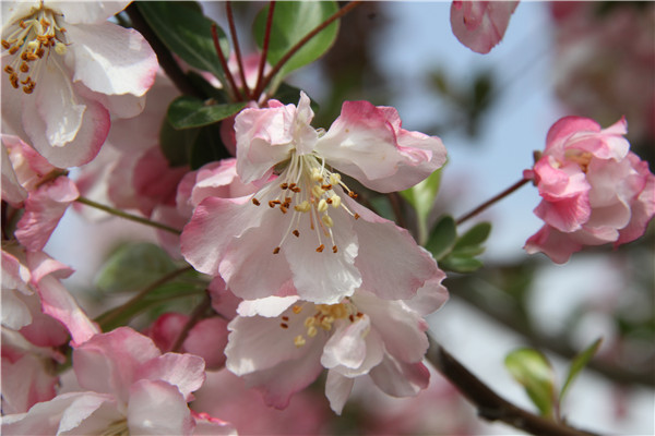 ��ͬ�����ͻ���