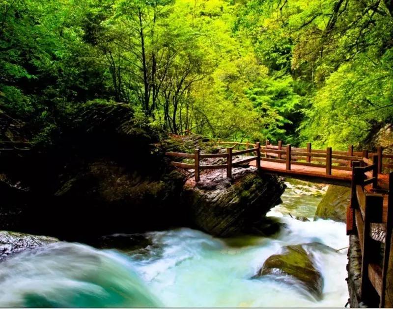 �˼��ɾ� ����Ͽ