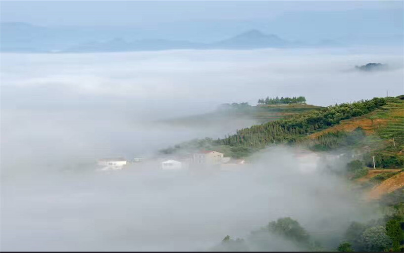 ���з���