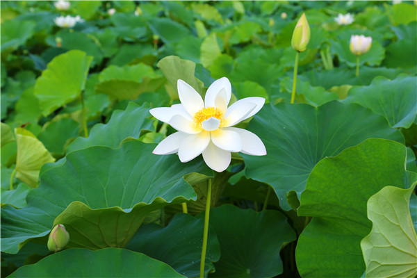 �������