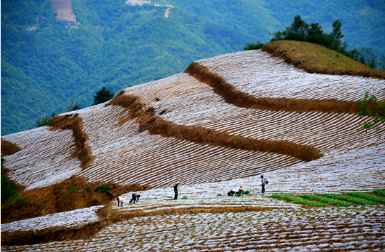 ʯȪ��Ϫ����Ҥ��