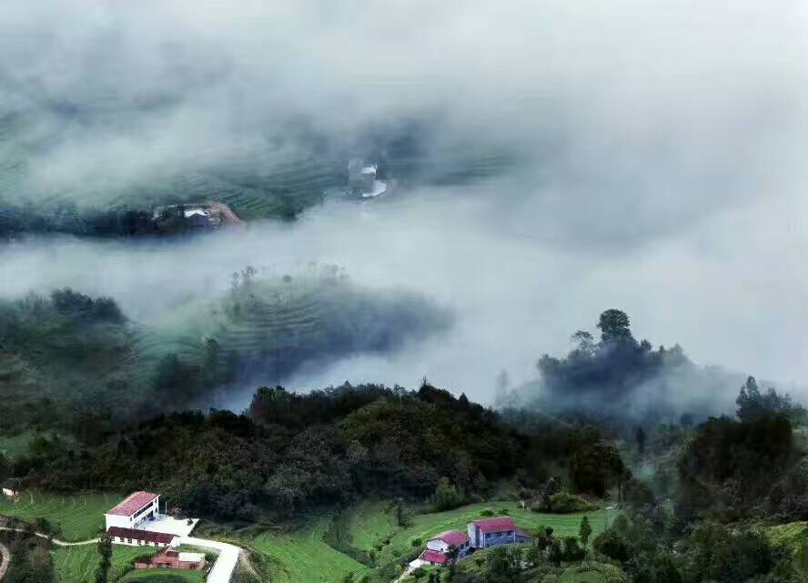 ��ɽ����