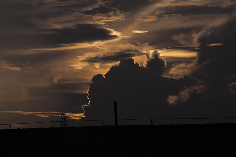 ����Ȼ�Ļ���