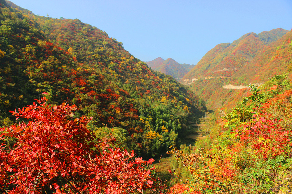 �����׽��Ҷ�����ˣ�