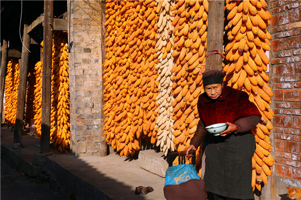 ����ũ��