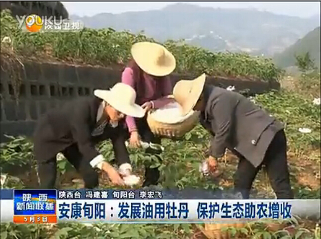 ��չ����ĵ�� ������̬��ũ����