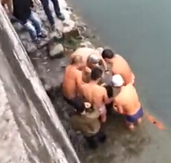 ������Ӿ�Ӿ�����Ƶ