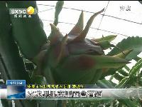 ����������������������Ϊ����������