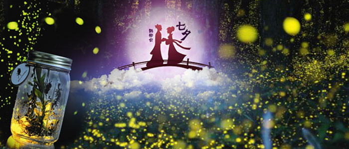 ��Ϧ��ө�����������������